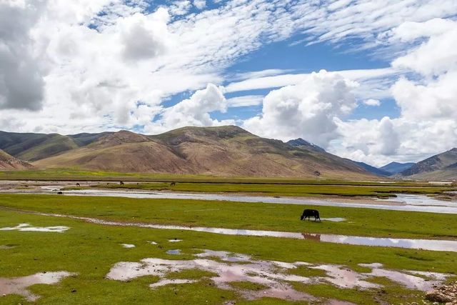 乾港集團高層草原自駕游